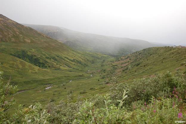 Alaska