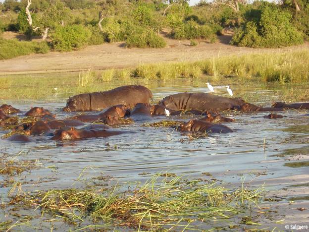 Botswana