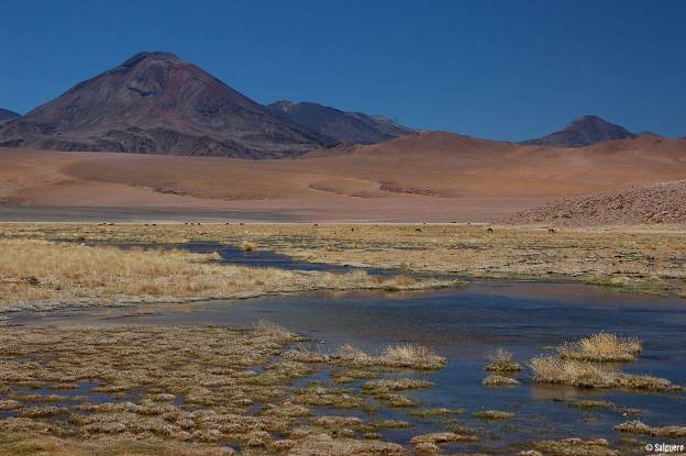 Chile