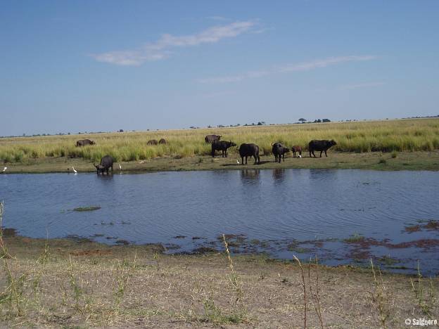 Botswana