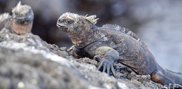 Ecuador