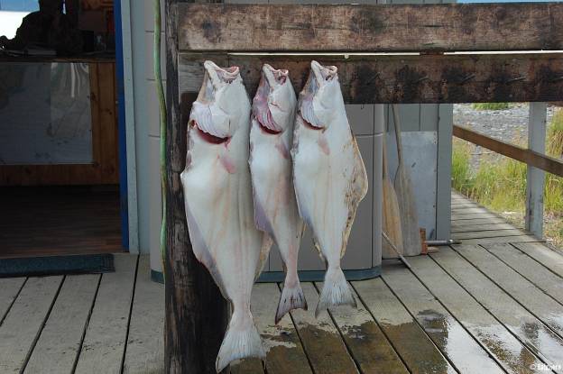 Alaska