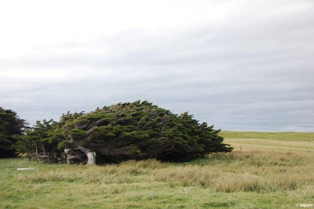 Neuseeland