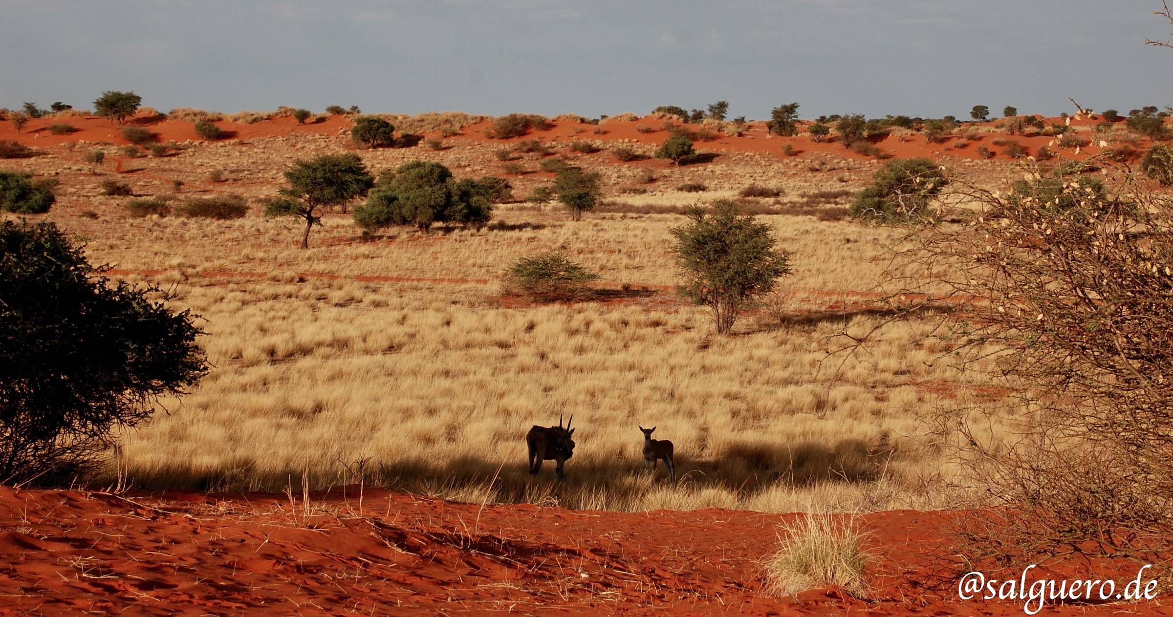 Namibia