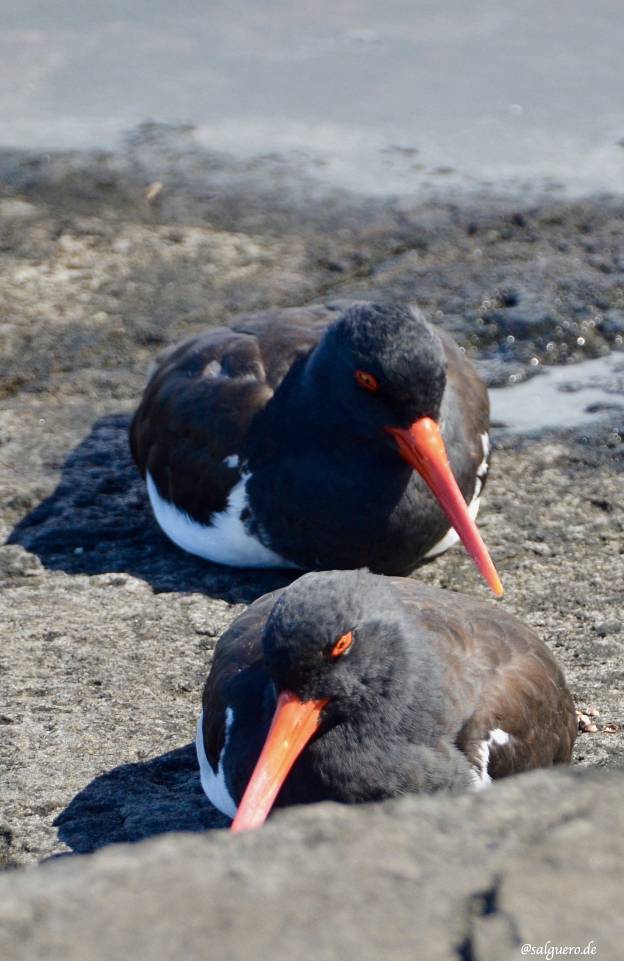 Ecuador