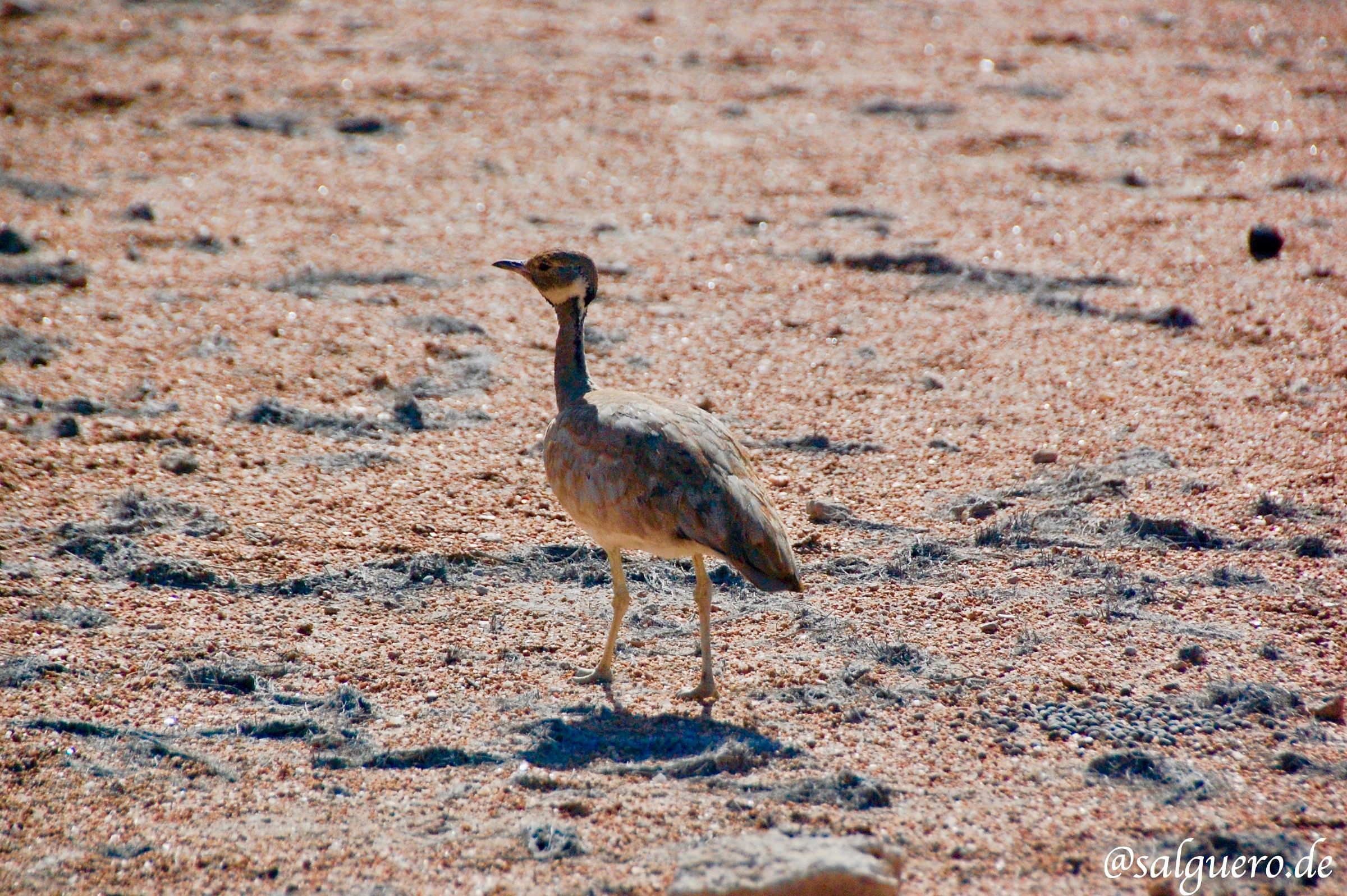 Namibia