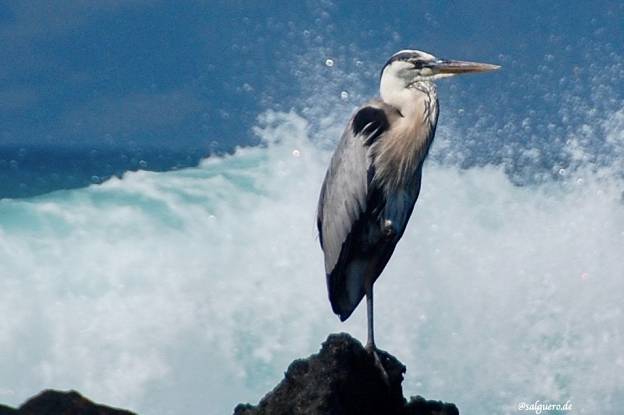 Ecuador