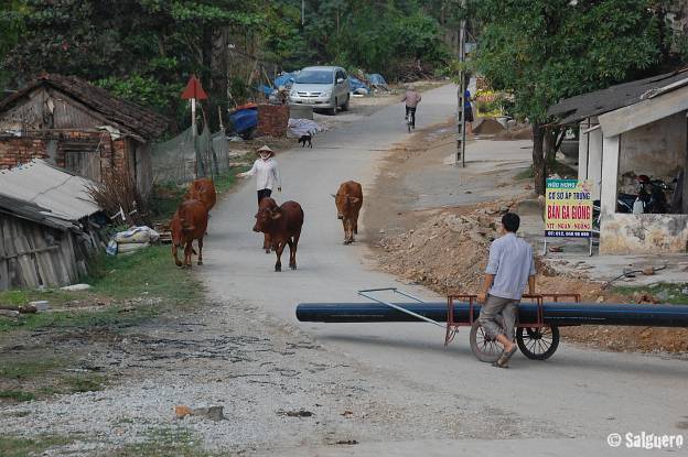 Vietnam