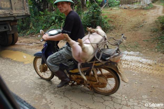 Vietnam
