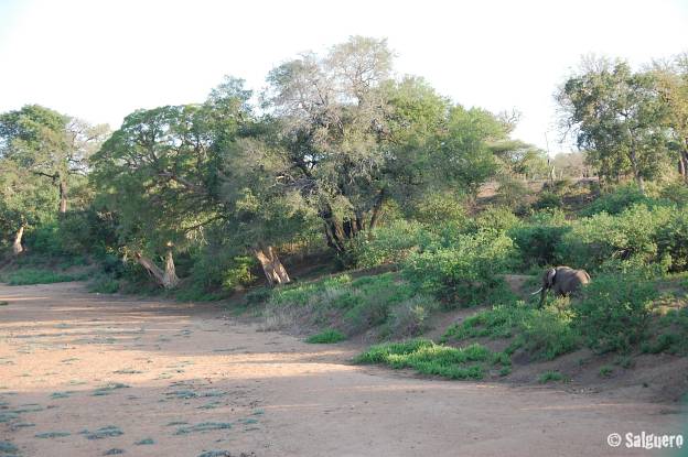 Südafrika