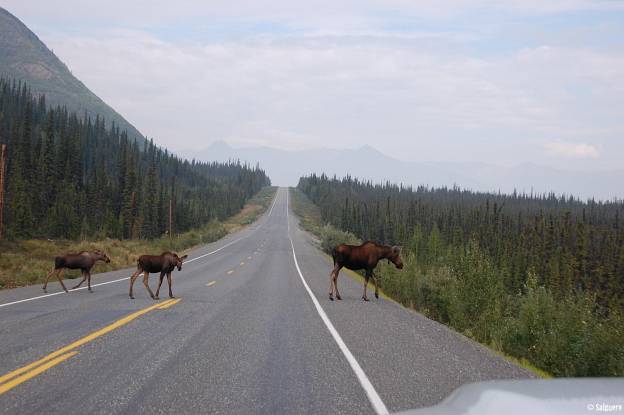 Alaska