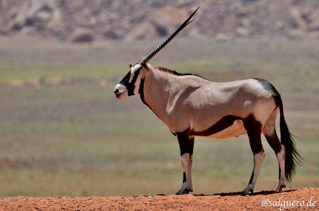 Namibia