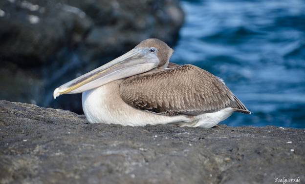 Ecuador