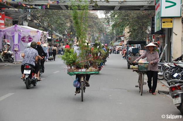 Vietnam