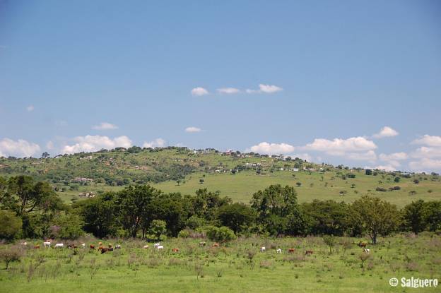 Südafrika