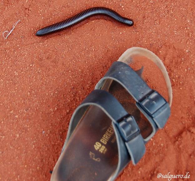 Namibia