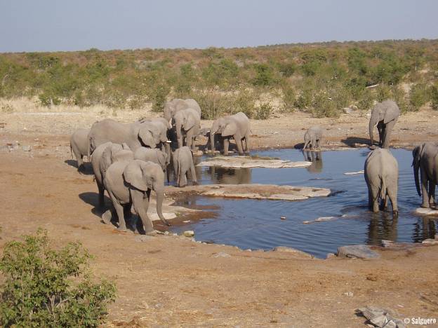 Namibia