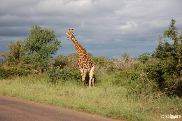 Südafrika
