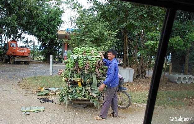 Vietnam