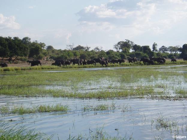 Botswana