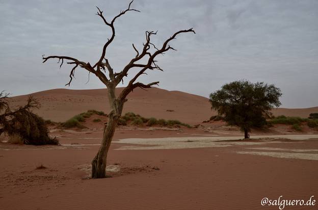 Namibia