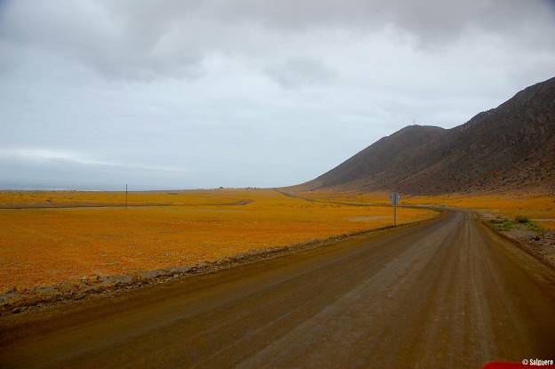 Chile