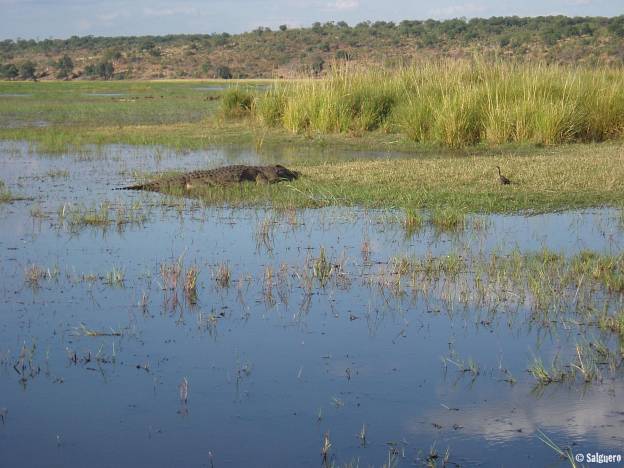 Botswana