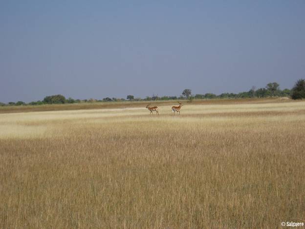 Botswana