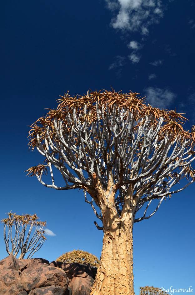Namibia