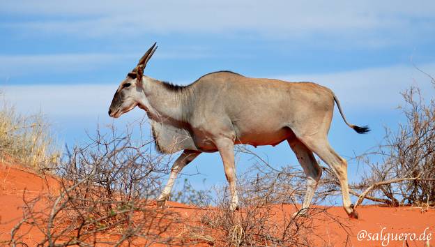 Namibia