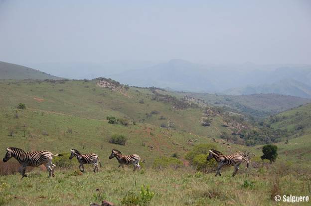 Südafrika
