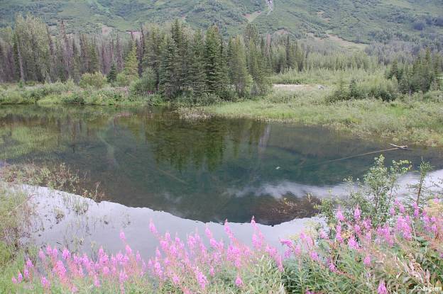 Alaska