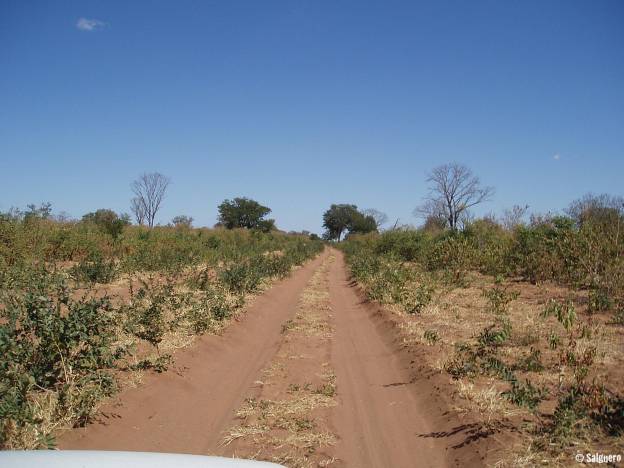 Botswana