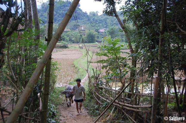 Vietnam