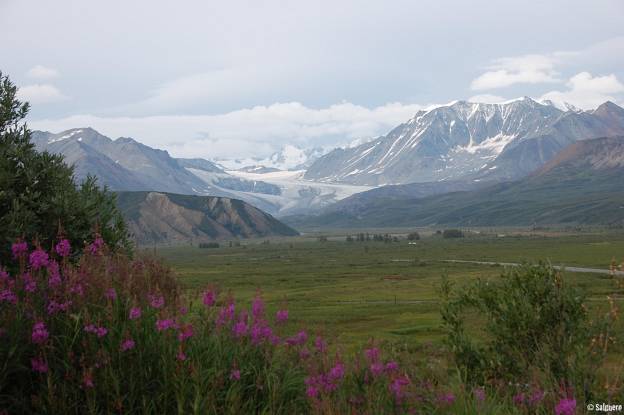 Alaska