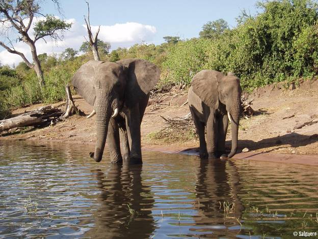 Botswana