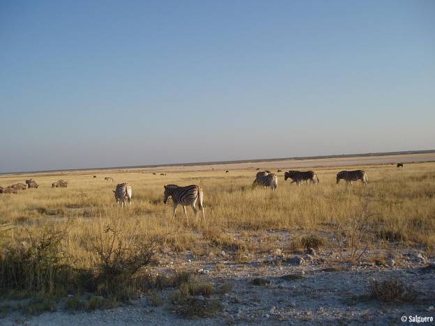 Namibia