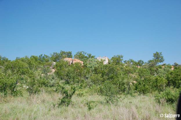 Südafrika