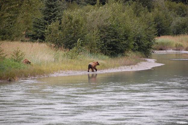 Alaska