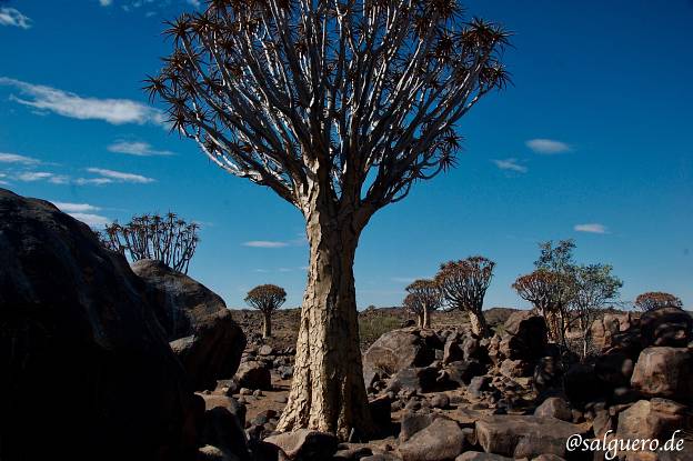 Namibia