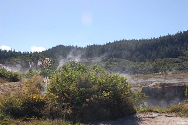Neuseeland