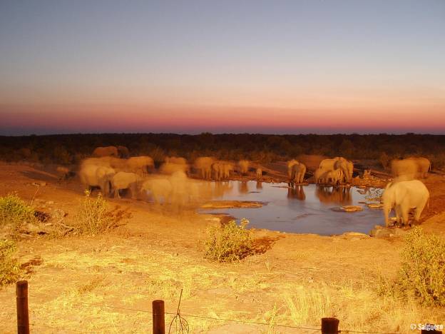 Namibia