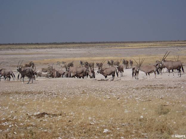 Namibia
