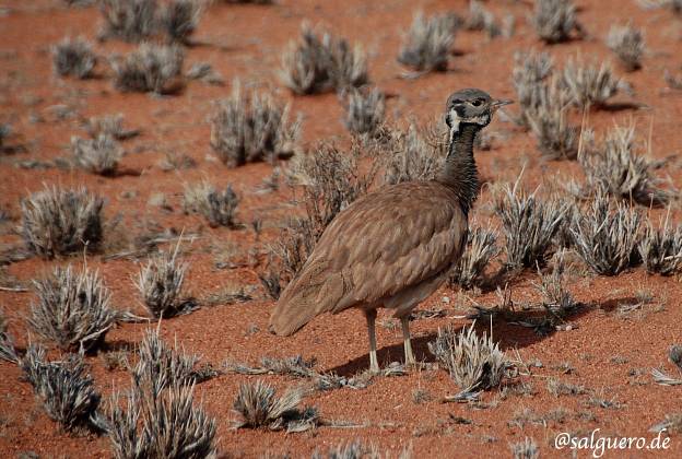 Namibia
