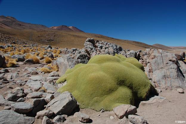 Chile