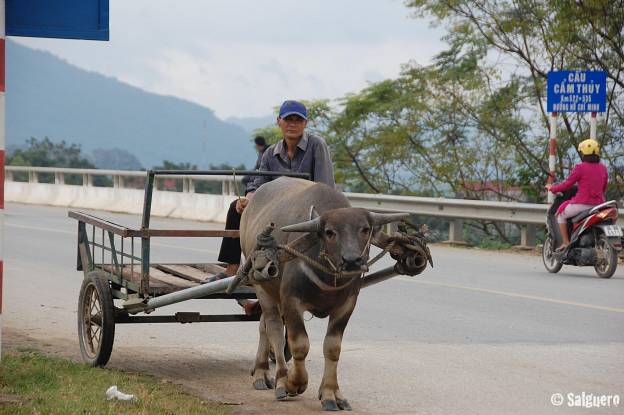 Vietnam