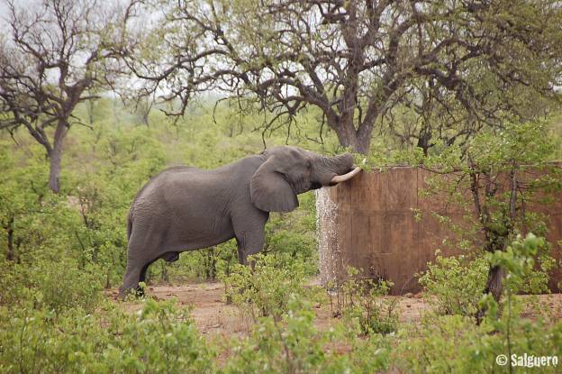 Südafrika