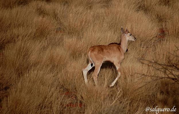 Namibia