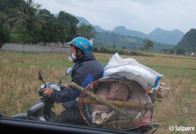 Vietnam