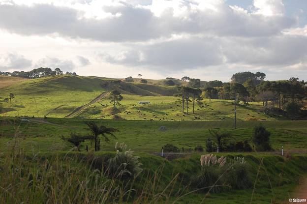 Neuseeland